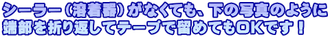 V[[injȂĂA̎ʐ^̂悤 [܂Ԃăe[vŗ߂ĂnjłI